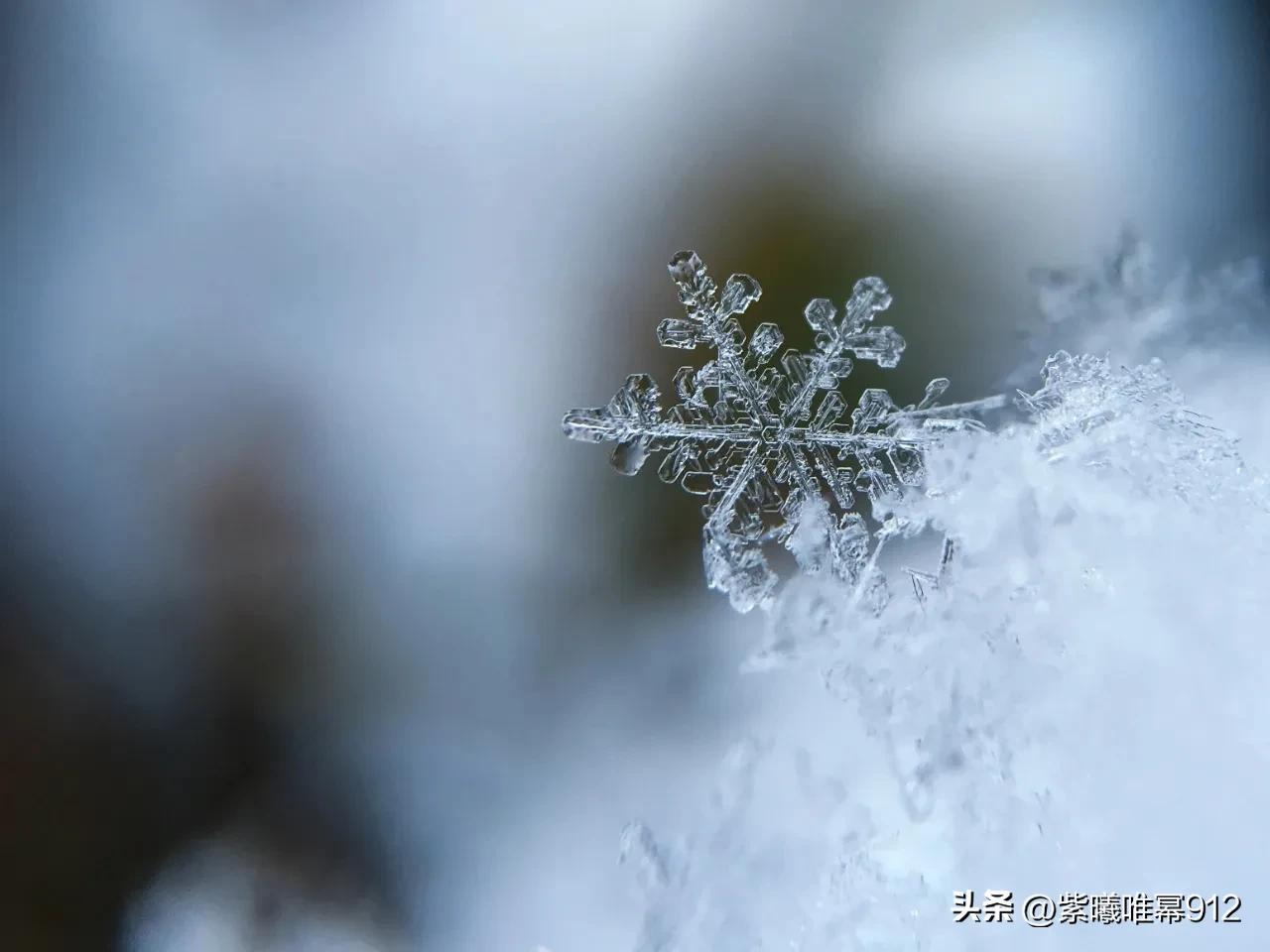 一句简短的雪景句子，雪景的句子唯美简短（那些关于下雪的文案）