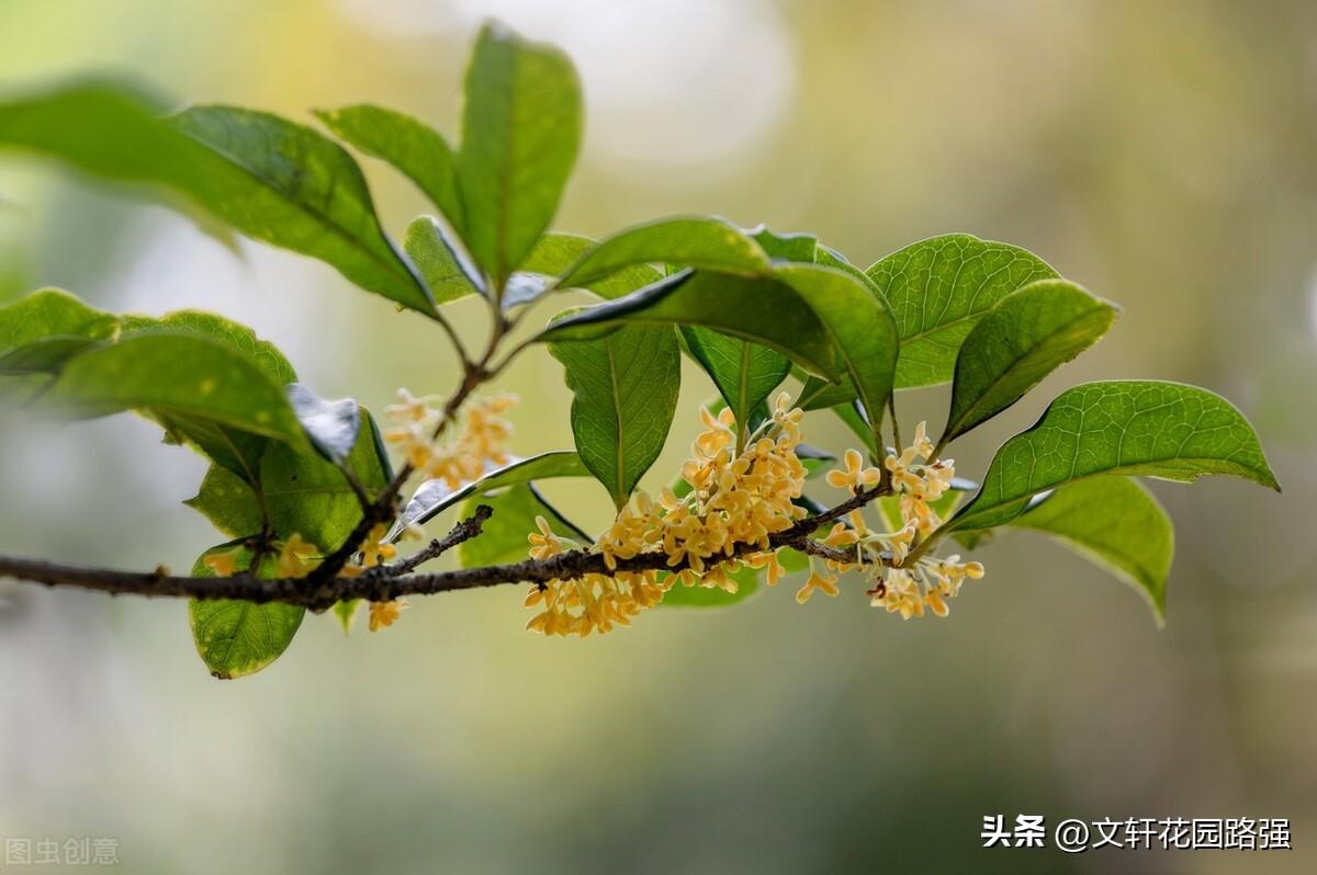 兔宝宝史姓简单大气的名字 史姓男宝宝名字大全