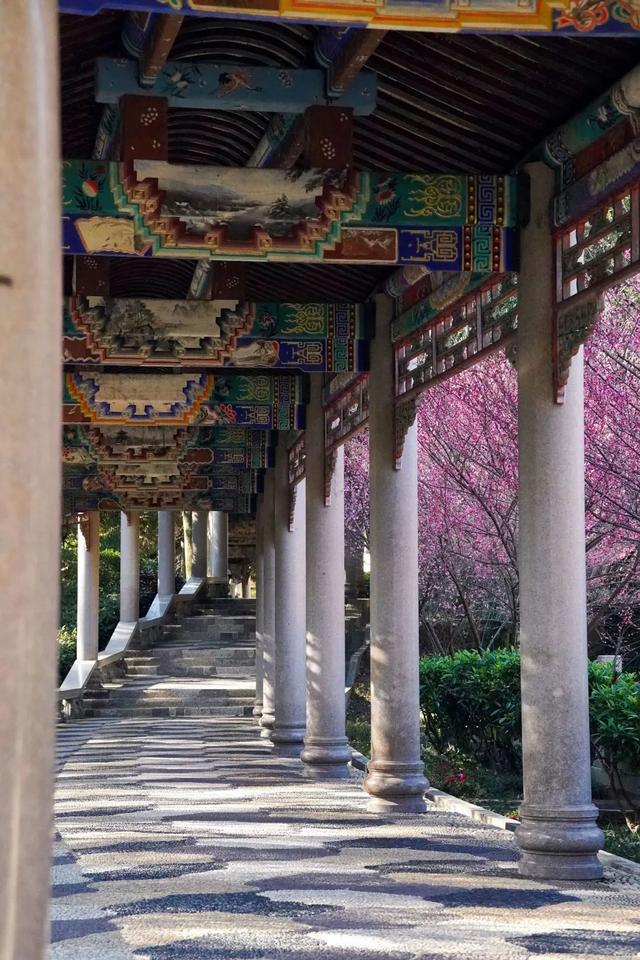 韶关丹霞山旅游攻略，韶关市最有名的旅游景点（来韶关开启徒步模式吧~）