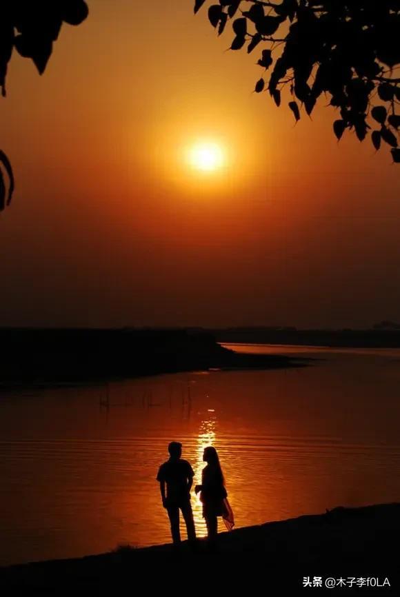 白玫瑰的花语是什么，白玫瑰花语是什么（我足以与你相配）