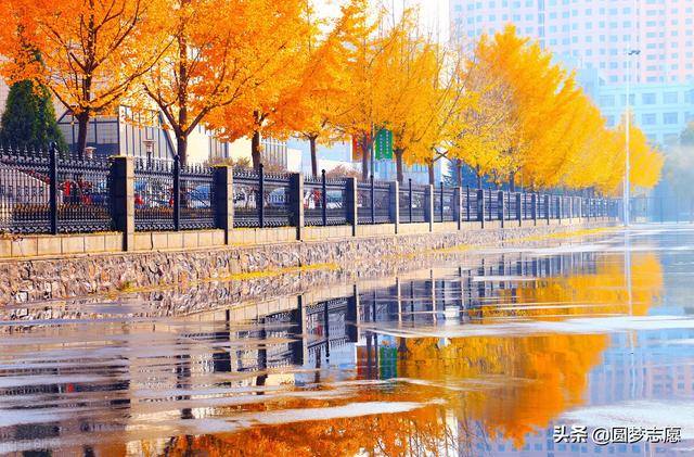 哈尔滨师范大学是一本还是二本，哈师大是一本还是二本（四川文科560分的高考生）