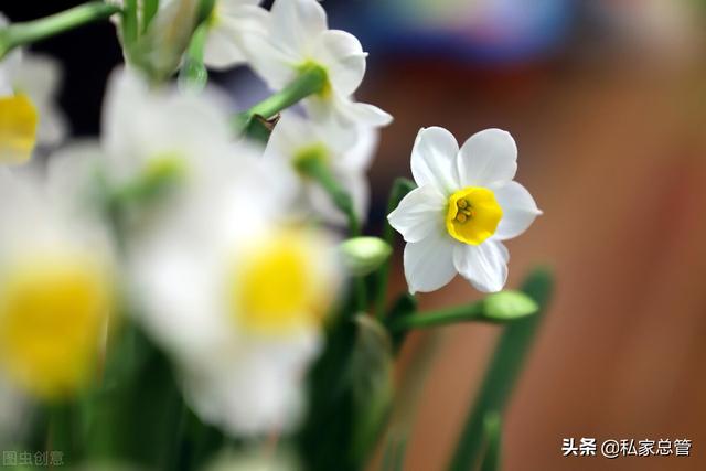 感恩帮助过我的人，感恩帮助过我的人句子（感恩于那些在人生路上）