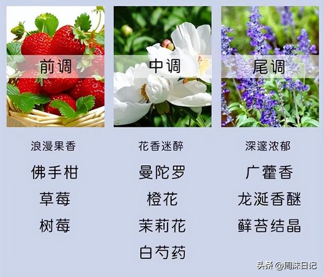 圣罗兰香水这个品牌好不，圣罗兰香水最火的一款（闻一次就彻底沦陷）