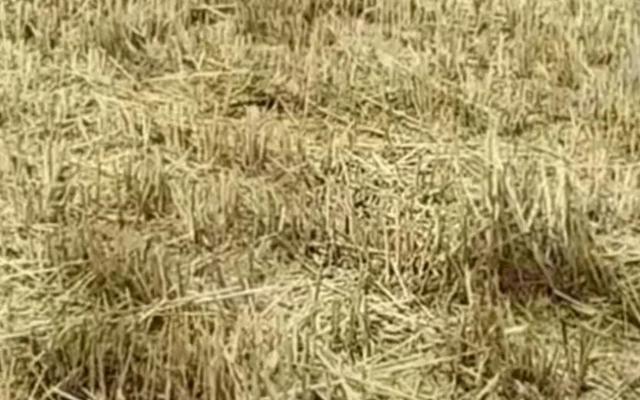 下雨了是什么梗，下雨的梗有哪些（网友评论“萧敬腾来一趟”是个什么梗）