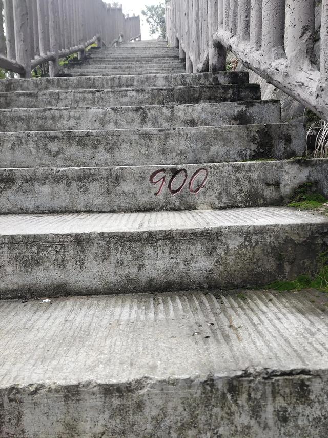 歌乐山森林公园，重庆旅游必去景点（歌乐山国家森林公园）