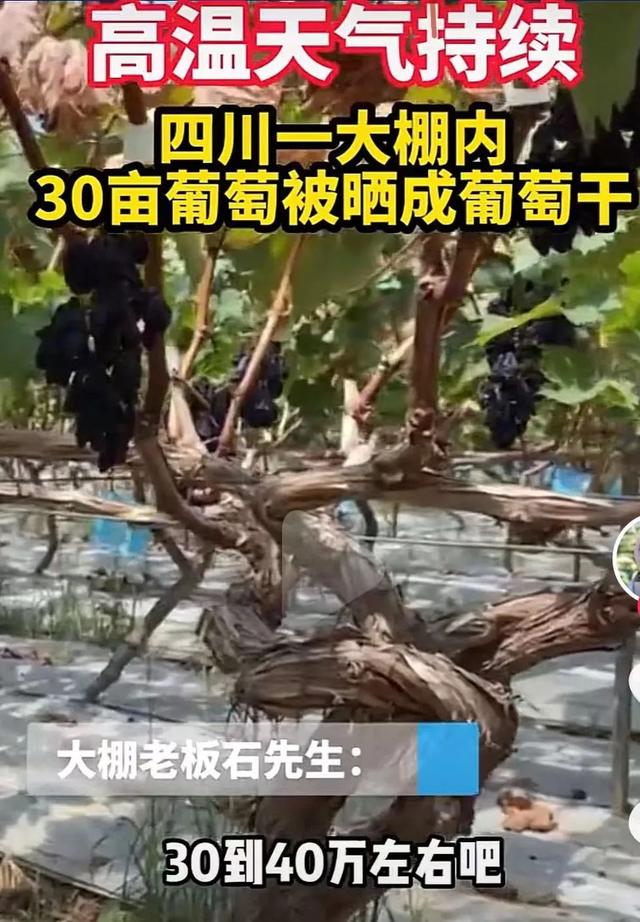 又霸气又高冷的图片 在这座欲望的城市，你是我最后的信仰，又霸气又高冷的图片带字（灾难成现实才知道后悔）