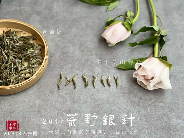 绿茶保质期一般多久，家里放了20年的绿茶、红茶、白茶