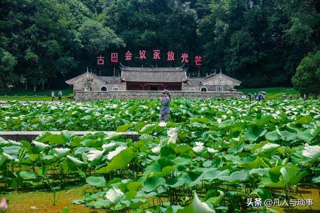 武夷山十大旅游景点排行榜，福建省最值得去的10个5A级旅游景点