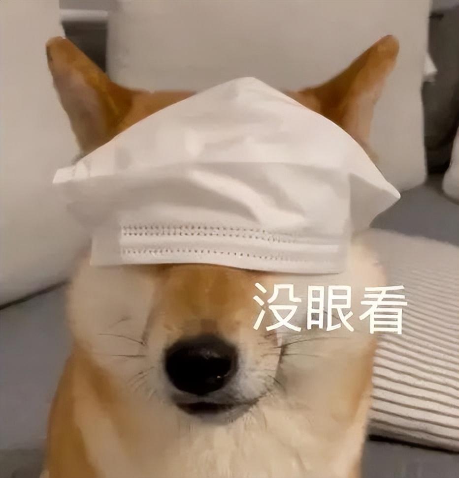 图片制作表情包(在线编辑表情包制作)