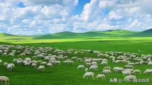 几月份去大草原比较好，七月八月份是草木最茂盛的时候