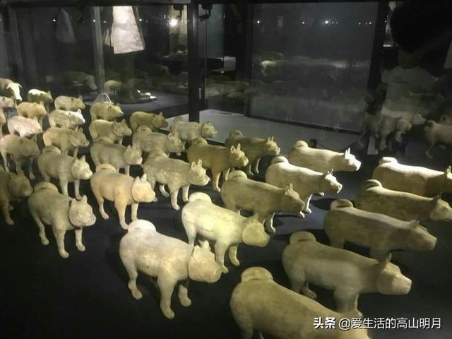 兵马俑是什么，兵马俑是什么朝代的（秦始皇兵马俑）