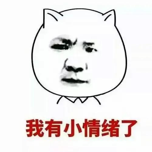 2035闵行吴泾，2035，轨交里程400公里