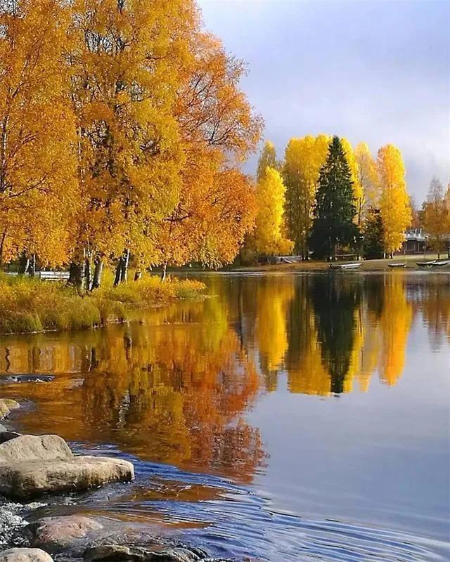 秋天是一个什么样的季节，秋天是一个什么样的季节写一段话（分享绝美秋色：叠翠流金）