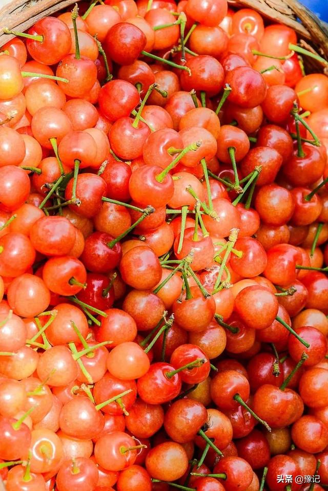 久红瓜怎么挑甜的，久红瓜口感怎么样（河南人的夏天不缺瓜）