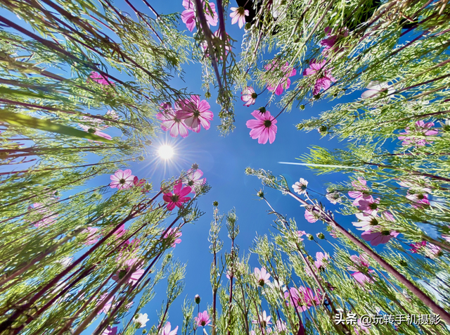 什么情况下拍照用HDR模式，拍照中的hdr是什么模式（你想不到的公园拍照技巧）