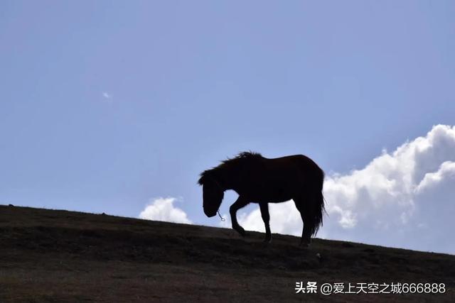 九月份的昭通大山包景观，云南的可可西里