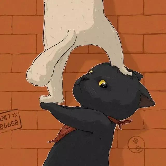 清新的情侣头像，甜蜜可爱小清新情侣头像微信（喜欢陪你疯陪你闹）