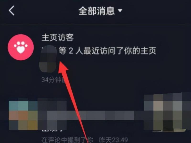 抖音能看到访客记录吗(抖音谁在偷偷看你四个)