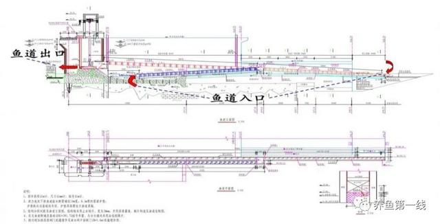 为什么兴建水坝时要留鱼道，河道能够修坝蓄水吗（低水头水利枢纽过鱼通道构建技术）