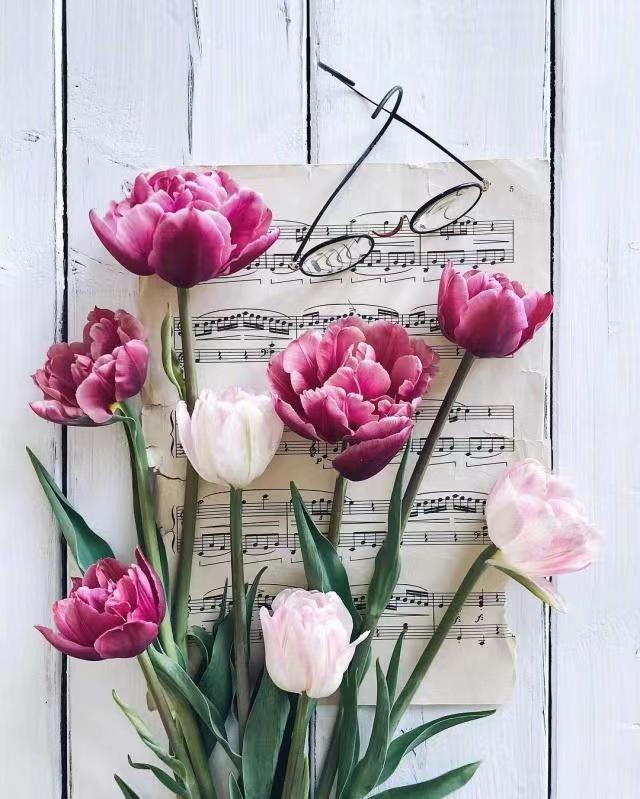 形容一个少女很美的句子，形容美少女的一段话（女生发朋友圈的唯美句子）