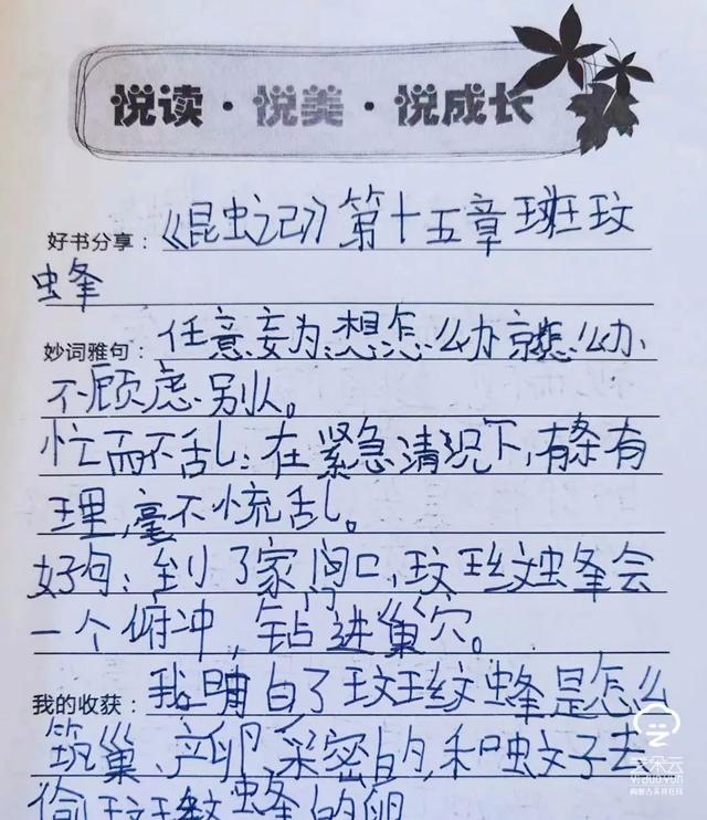 小学生争章感言20字，争章感言怎么写（包头市昆都仑区团结大街第二小学）