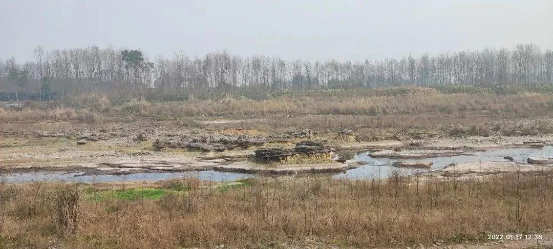 农业投资项目(特色农业种植项目介绍)