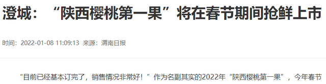 樱桃什么时候上市，汉源大樱桃上市时间（国产樱桃将于1月20日开始上市）
