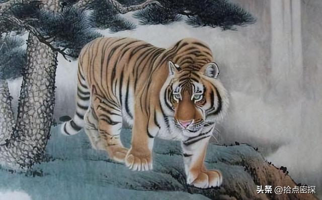 动物分为哪六大类，1000个动物名字（排列到底是按照什么顺序排列的）