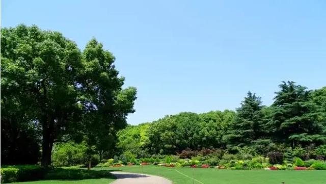 10大适合普通人的解压大法，百元以下且15分钟见效