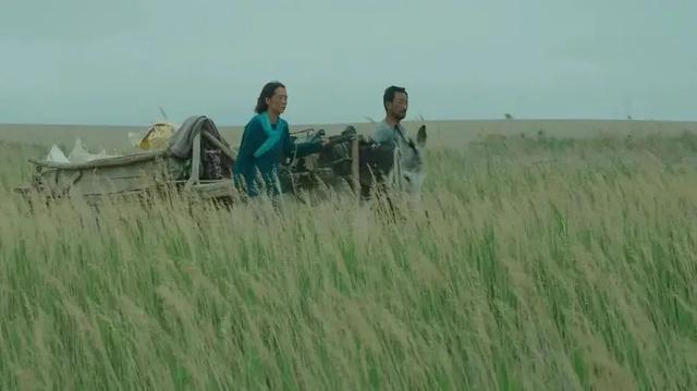 秋天的命运演员表，夏妍的秋天演员表（“西北宇宙”又打出一副王炸）