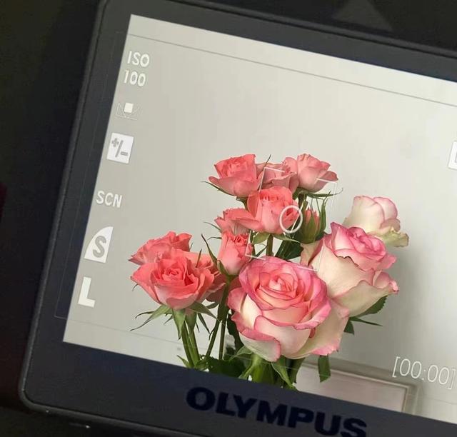 高级情绪化文案，高质量情绪化文案（有点emo的高级情绪化伤感文案.）