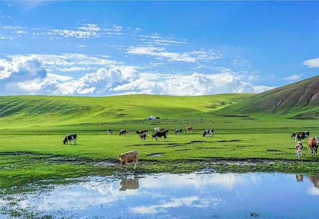 仰天湖大草原游玩攻略，仰天湖大草原攻略（湘南精华自驾-飞天山、东江湖、仰天湖大草原）