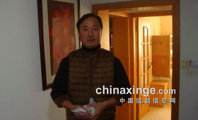 什么鸽子引天落，什么叫天落鸽子（引赛绩鸽修得正果——飞出三关鸽王冠军）