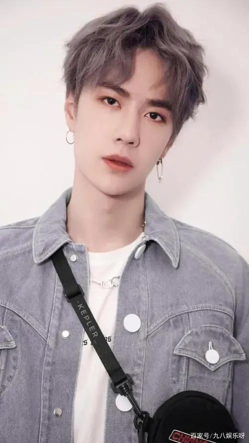 洛阳白牡丹——王一博，为什么叫王一博洛阳白牡丹（洛阳白牡丹—王一博图片）