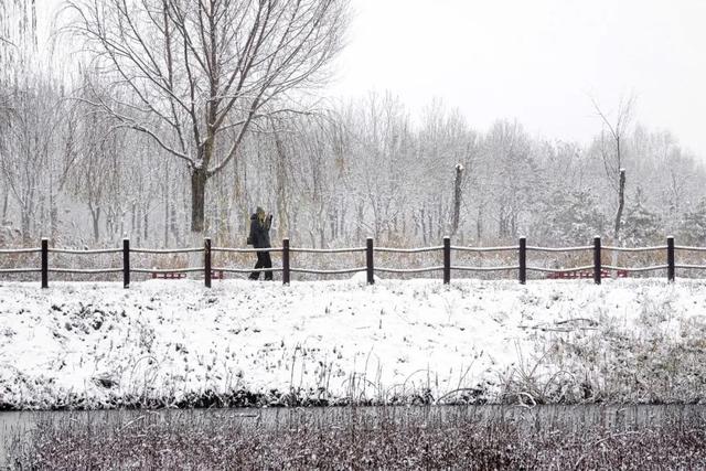 形容雪景的诗句，形容雪景的诗句李白（写雪最美的10首诗词）