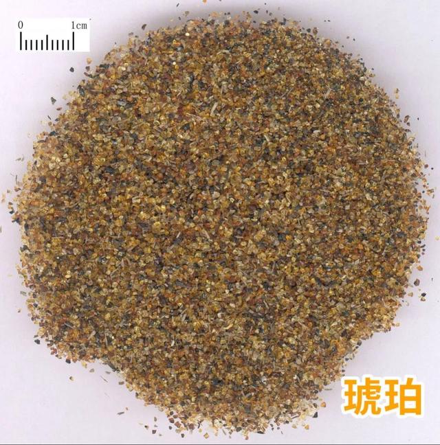 琥珀是什么样子的，每天学习一味中药——琥珀