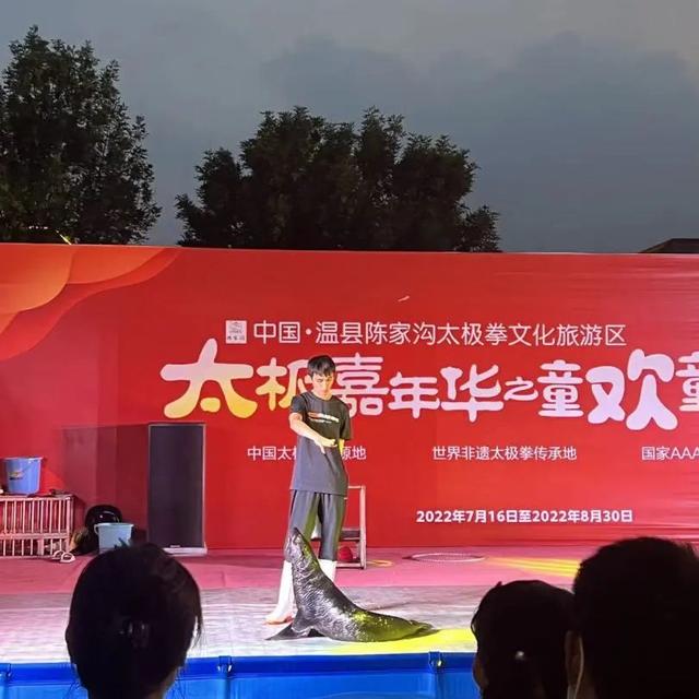 容易表演的小节目，表演的节目有哪些（陈家沟景区上演海狮表演）