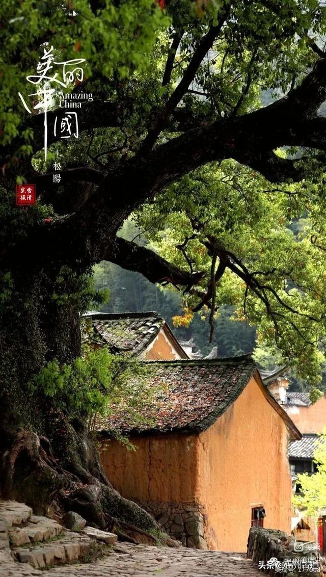 松阳县旅游景点，古韵松阳——江南最后的秘境