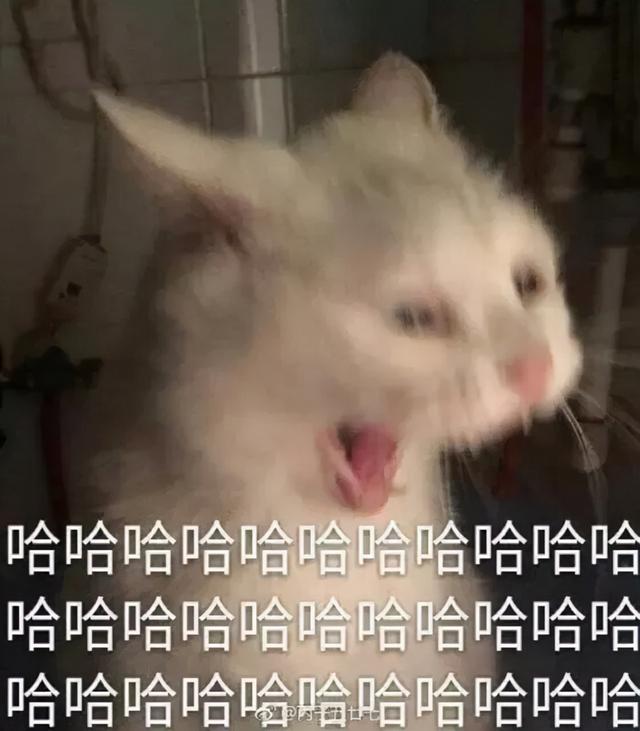 拜你所赐网名，拜你所赐微信昵称（四川人给娃儿取名字能有好随便）