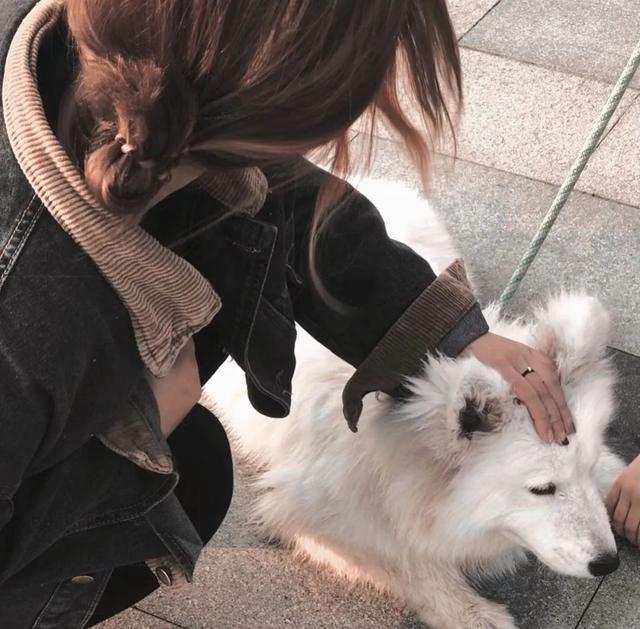 猫系女孩，微信头像，猫系女孩（女生头像：抱猫头像）