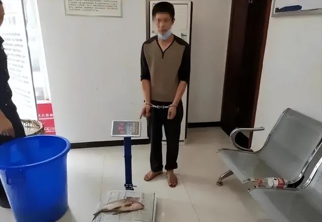 从河里钓的鲤鱼能吃吗，钓到“黑鲤鱼”要放生