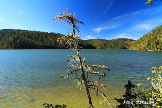云南好玩的地方，去云南哪里比较好玩（云南十个推荐的旅游景点）