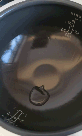 苏泊尔电饭煲做蛋糕，苏泊尔电饭煲做蛋糕步骤介绍（满足你做饭的所有想象）