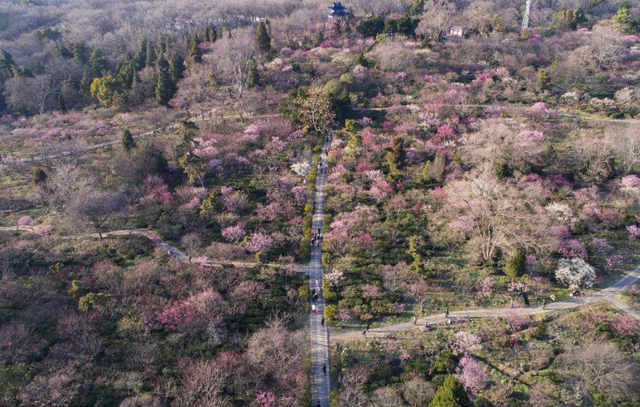 南京旅游必去十大景点推荐，南京旅游必去十大景点推荐图片（，“六朝古都，十里秦淮”，南京不可错过的十大景点）