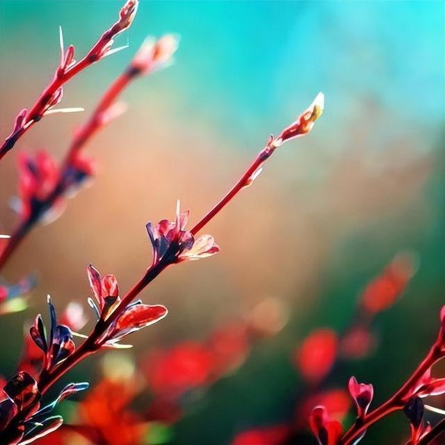 致生活中的小美好唯美的句子，关于致生活中的小美好唯美的句子（感悟生活美好的经典句子）