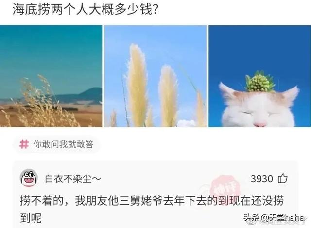 清扬洗发水如何鉴别真假，清扬洗发水辨别真假（当你玩真心话大冒险忘记屏蔽家人……）