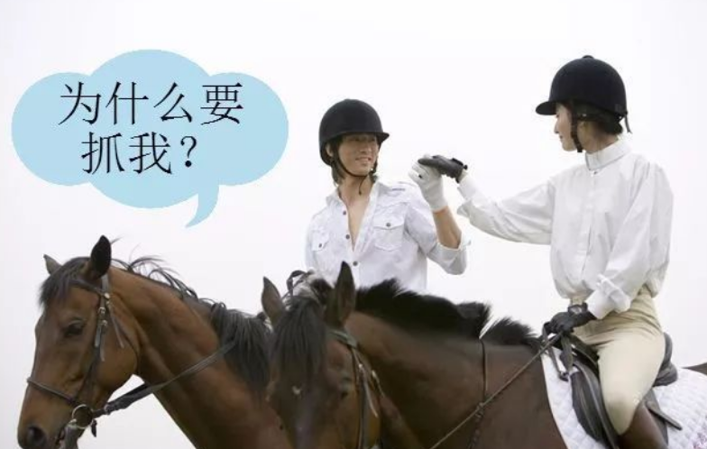 drama是什么意思，—“抓马”是什么梗