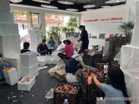 信阳直播带货怎么做招商信息，信阳直播带货平台？