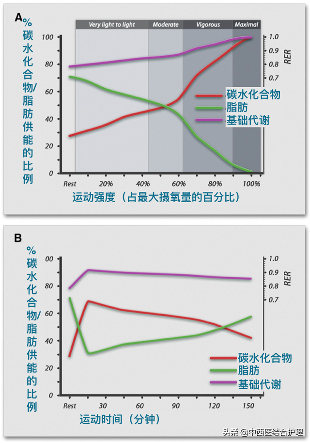 燃脂与有氧耐力哪个更消耗脂肪，无氧运动和有氧运动哪个燃脂更快（“有氧”vs“无氧”）