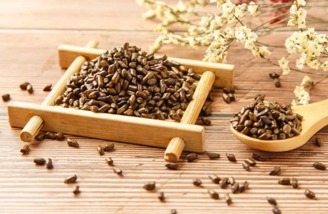 决明子是什么植物的种子，决明子泡水喝竟有6个害处（这3对名称相似的中药）